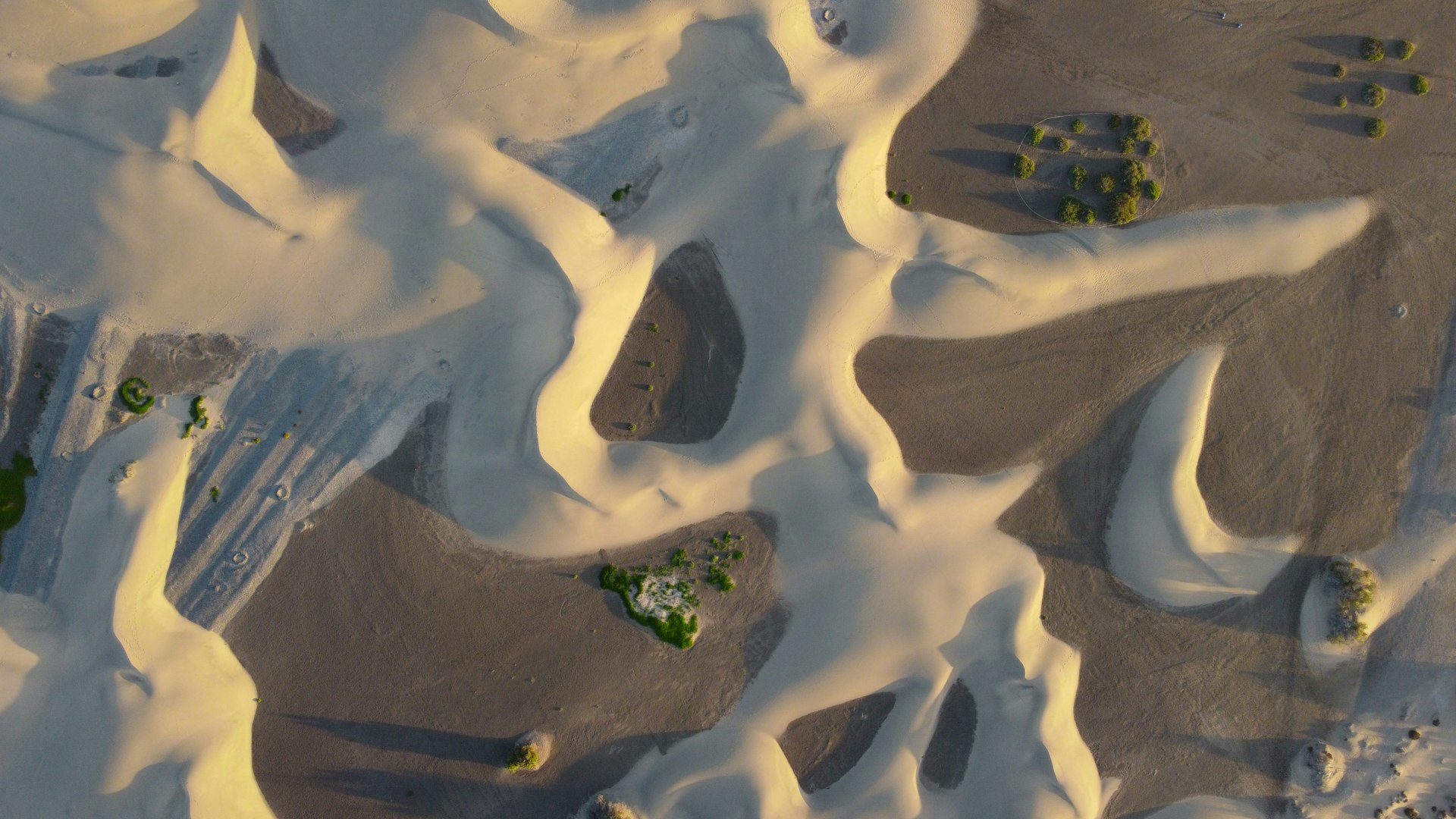 Unlocking Creativity: How User-Generated Content Is Transforming Sandbox Gaming