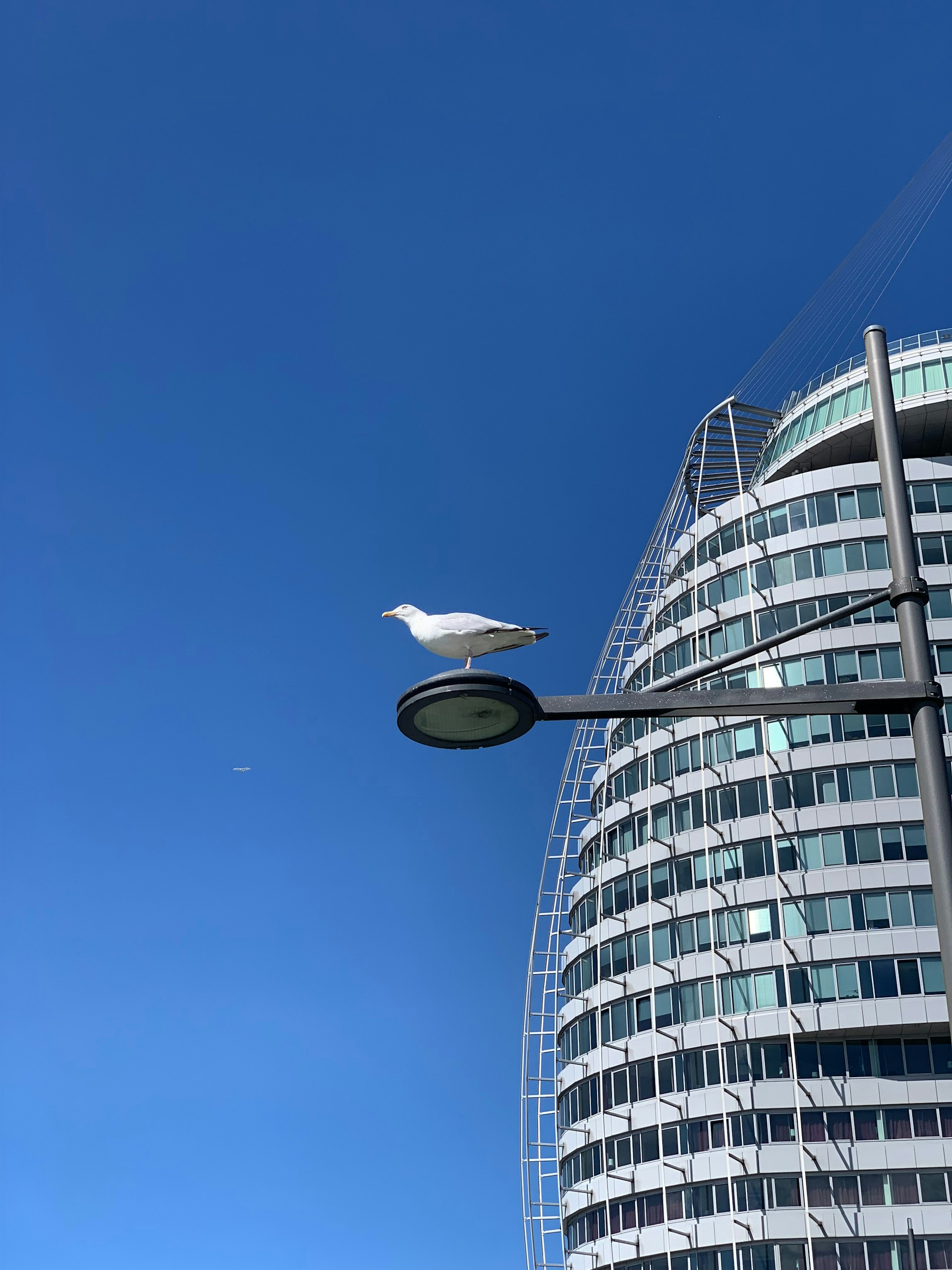 The Future of Flying Cars and Urban Air Mobility: Opportunities, Challenges, and How to Prepare