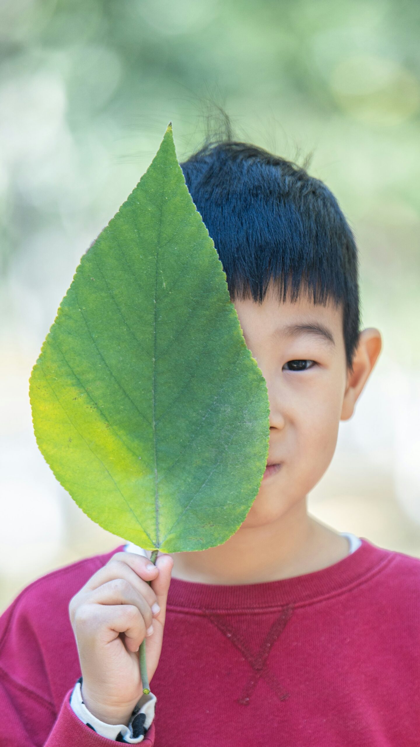 Transforming Education: How Eco-Friendly Schools Lead the Way in Green Learning