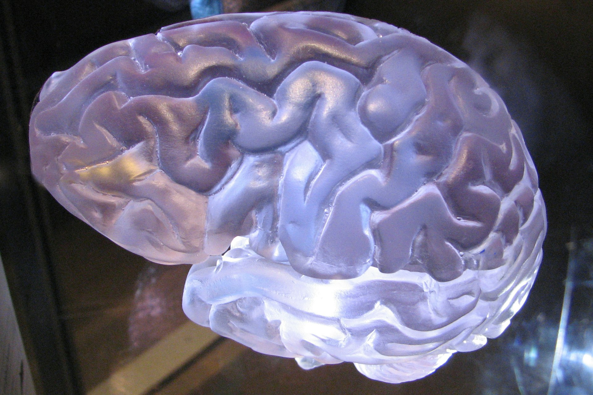 Transforming Education: Actionable Insights from Neuroscience for Effective Learning