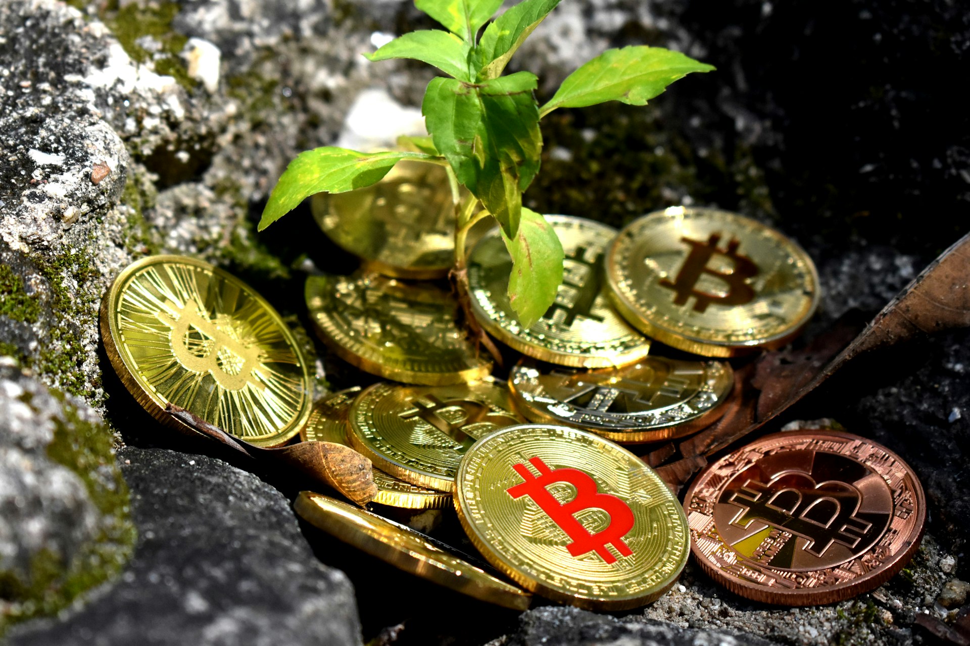 Cryptocurrency Mining and Sustainability: Challenges, Impacts, and Practical Solutions
