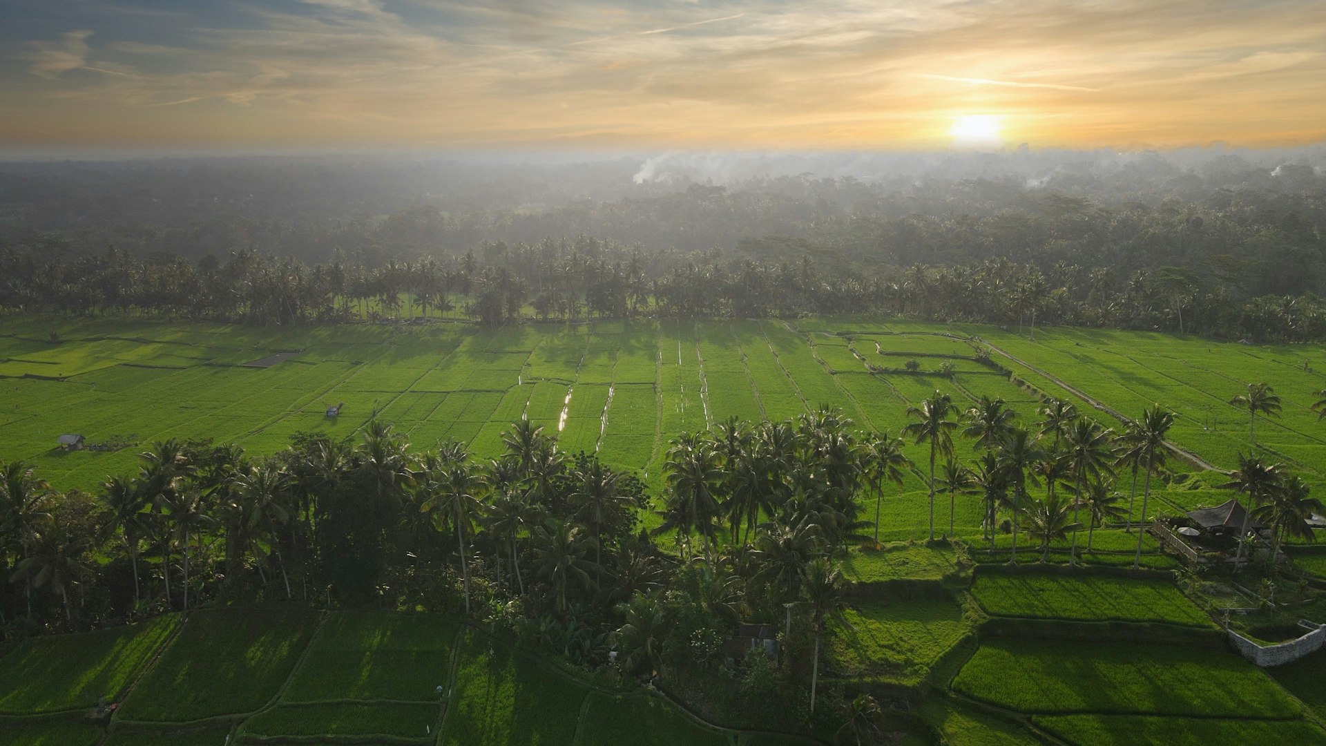 How Dynamic Weather Systems Shape the Future of Open World Gaming