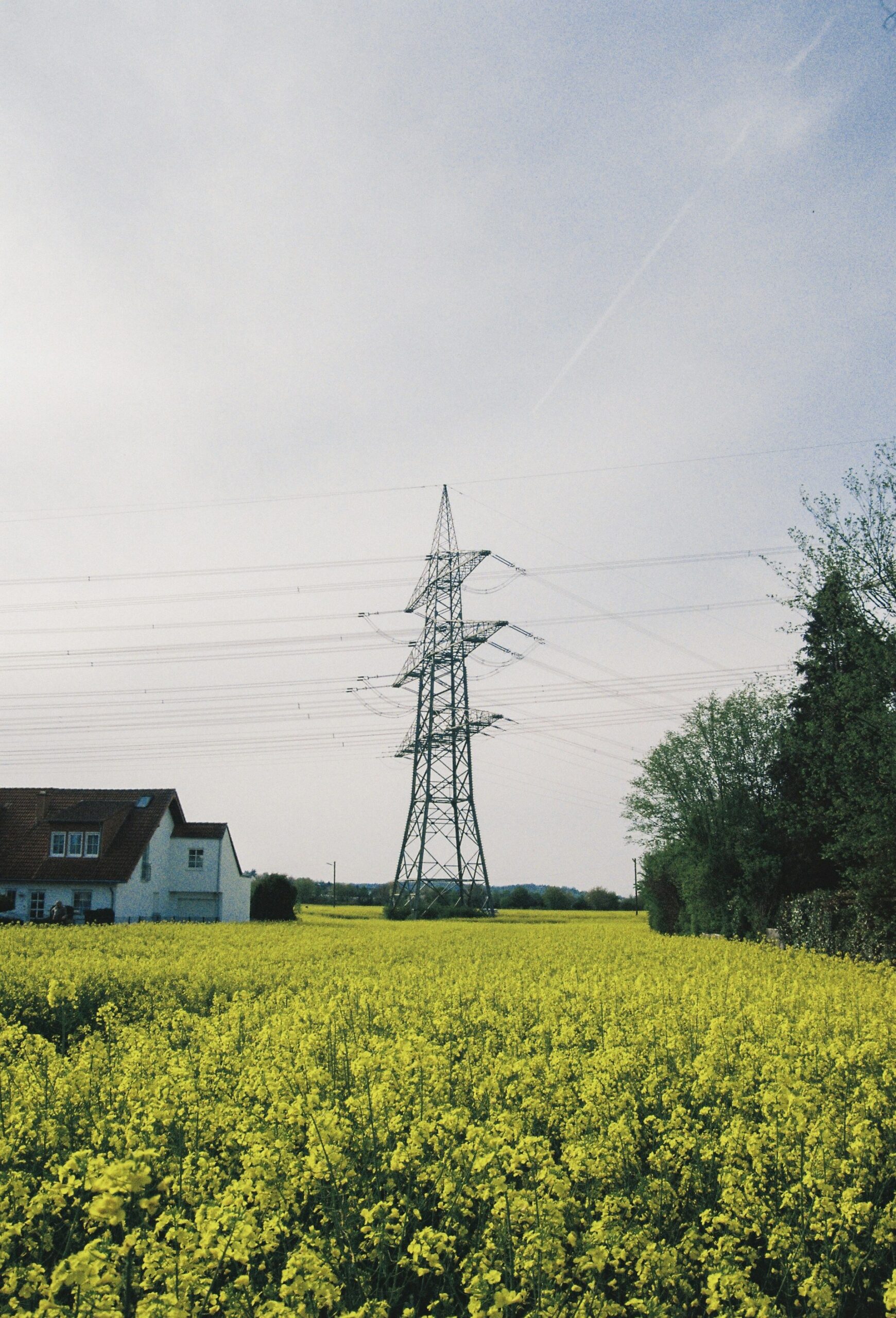 How Smart Grids Drive Tangible Improvements in Energy Efficiency